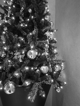 クリスマスツリー@COREDO室町